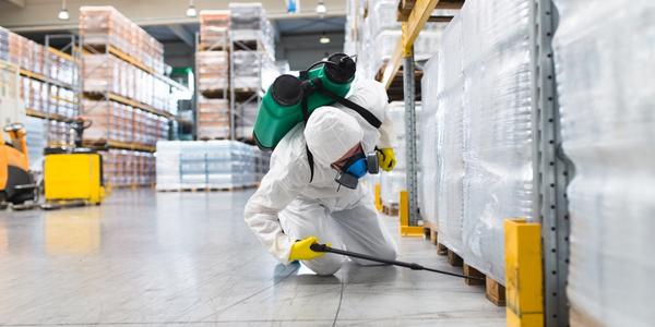 Pest Control Services For Factory & Cold Storage