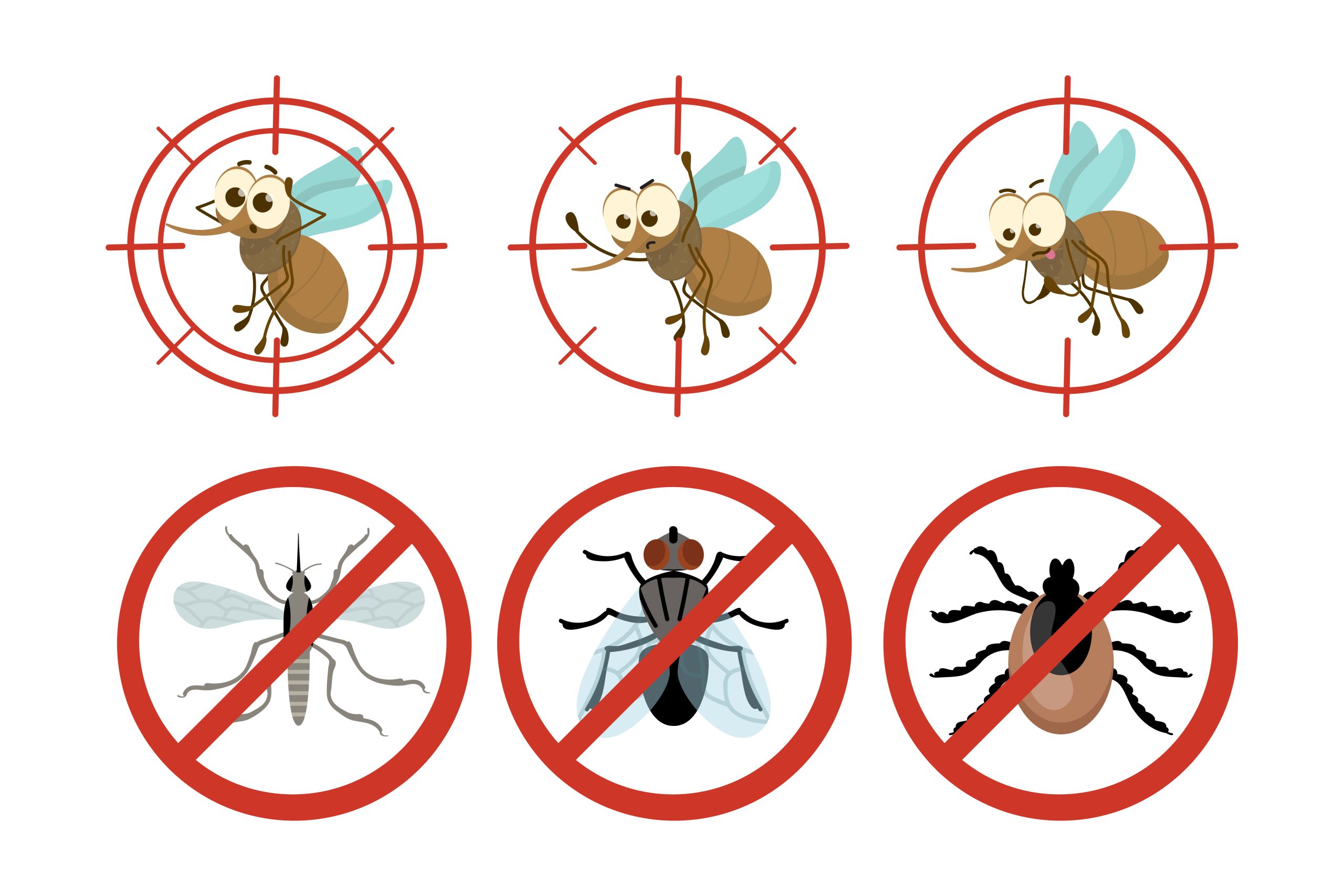 How to Identify Common Local Pests: A Comprehensive Guide